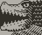 Crocodile