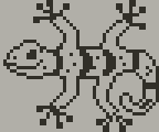 Gecko