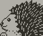Hedgehog