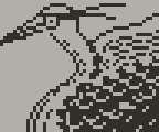 Heron