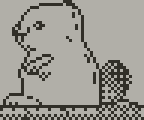 Marmot