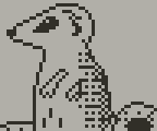 Meerkat