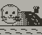 Otter