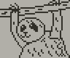 Sloth